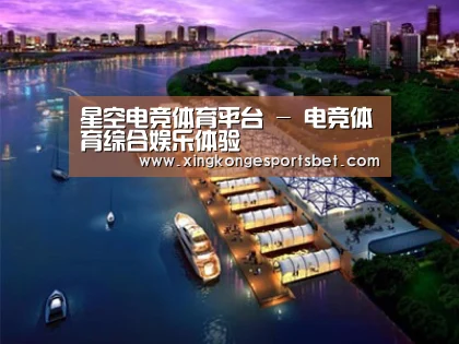 案例展示八