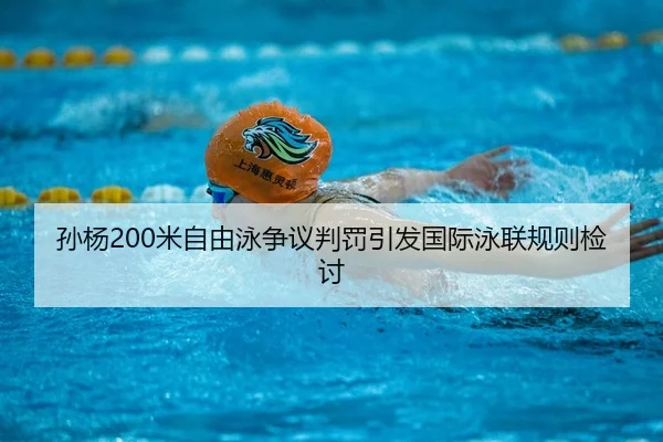 sun-yang-mi-zi-you-yong-zheng-yi-pan-fa-yin-fa-guo-ji-yong-lian-gui-ze-jian-tao-3-455.jpg