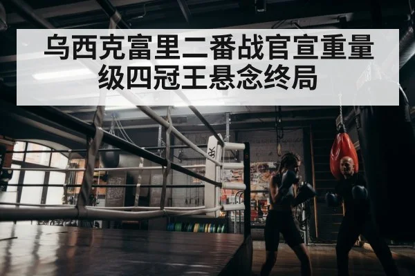 boxer training